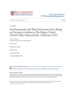 Soil Nematodes and Their Prokaryotic Prey Along an Elevation