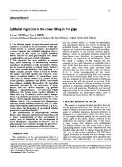 Epithelial Migration in the Colon: Filling in the Gaps