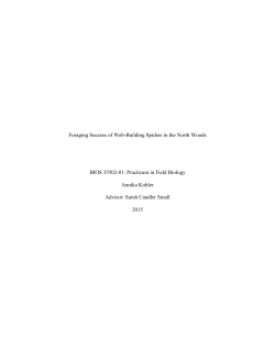 Foraging Success of Web-Building Spiders in the North
