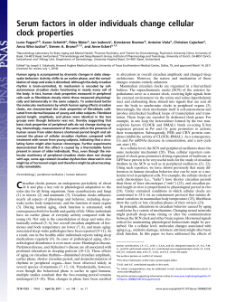 Serum factors in older individuals change cellular clock properties