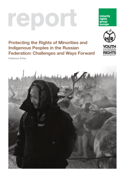 Protecting the Rights of Minorities and Indigenous Peoples in the
