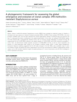 A phylogenomic framework for assessing the global emergence and
