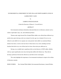 ENVIRONMENTAL ENRICHMENT OF NEW ZEALAND WHITE