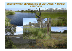 GROUNDWATER DEPENDENCE OF WETLANDS: A TRACER
