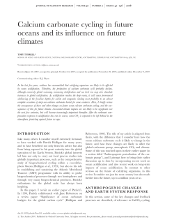 Calcium carbonate cycling in future oceans and its influence on