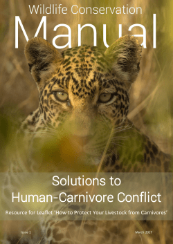 Solutions to Human-Carnivore Conflict