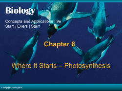 Chapter 6 Where It Starts Photosynthesis