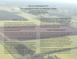 JUST HOW RENEWABLE IS IT? THE SUSTAINABILITY OF PEAT