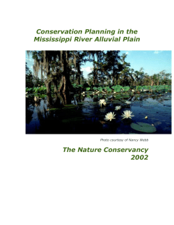 Conservation Planning in the Mississippi River Alluvial Plain