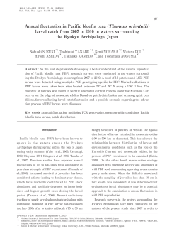 Annual fluctuation in Pacific bluefin tuna (Thunnus orientalis