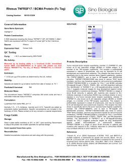 Rhesus TNFRSF17 / BCMA Protein (Fc Tag)