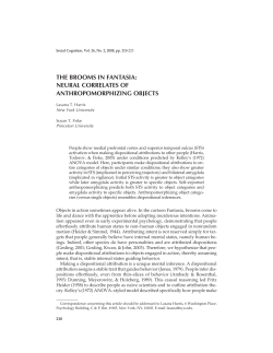 the brooms in fantasia: neural correlates of