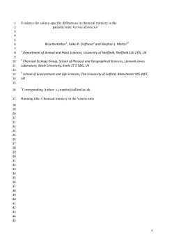 Document