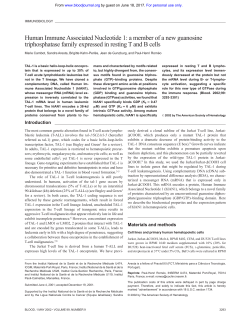 Human Immune Associated Nucleotide 1: a member