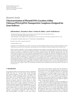 Characterization of Plasmid DNA Location within Chitosan/PLGA