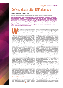 Defying death after DNA damage