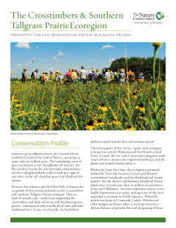 Crosstimbers and Southern Tallgrass Prairie Ecoregion