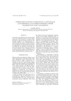 UPPER CRETACEOUS (CAMPANIAN) LAND SNAILS