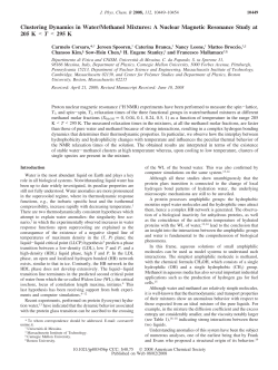 Clustering Dynamics in Water/Methanol Mixtures