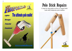 Polo Stick Repairs