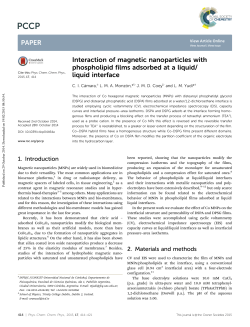 Interaction of magnetic nanoparticles with phospholipid