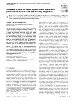 FG/FxFG as well as GLFG repeats form a selective permeability