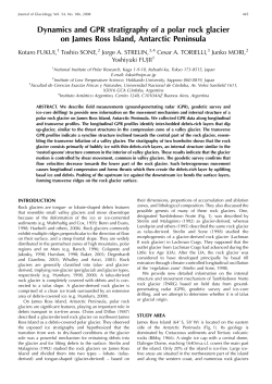 Dynamics and GPR stratigraphy of a polar rock glacier on James