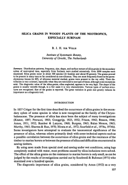 Silica grains in woody plants of the neotropics - UvA-DARE