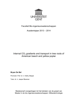 Internal CO2 gradients and transport in tree roots of American beech
