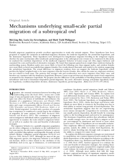 Mechanisms underlying small-scale partial