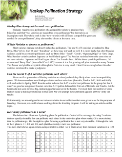 Haskap Pollination Strategy - University of Saskatchewan Fruit