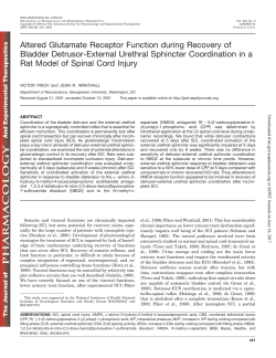 Altered Glutamate Receptor Function during Recovery of Bladder