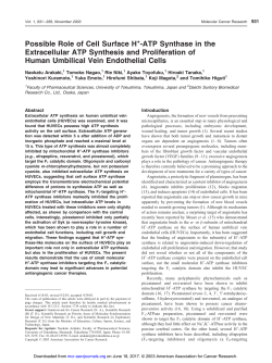 Possible Role of Cell Surface H -ATP Synthase in the Extracellular