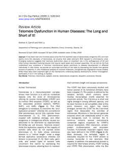 Telomerase Mutations in Human Disease
