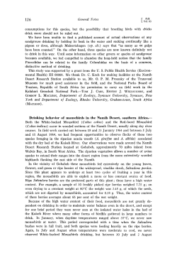 Drinking Behavior of Mousebirds in the Namib Desert, Southern Africa