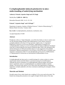 Cyclophosphamide induced polydactyly in mice