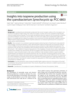 Insights into isoprene production using the cyanobacterium