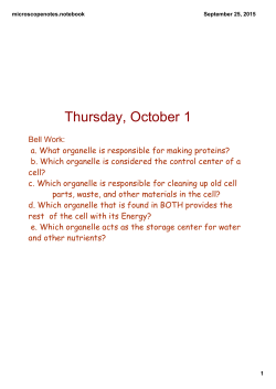 Microscope Notes - Perry Local Schools
