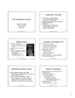 The Cyberspace Concept Cyberpunk: The Idea William Gibson