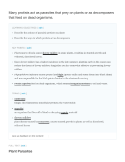 Many protists act as parasites that prey on plants or as