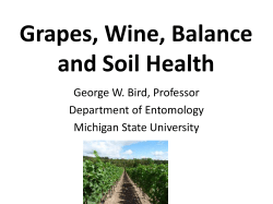 Grapes, Wine, Balance and Soil Health