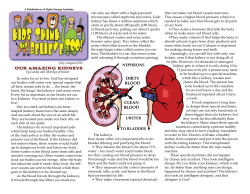 July/August 2012 - Alpha Omega Institute