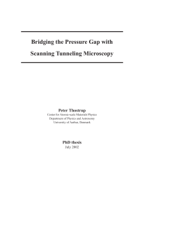 Bridging the Pressure Gap with Scanning Tunneling Microscopy