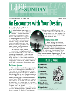 Destiny - Life After Sunday