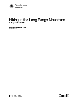 Hiking in the Long Range Mountains