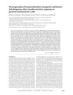 Overexpression of monocarboxylate transporter and