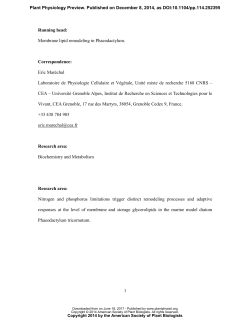Membrane glycerolipid remodeling triggered by nitrogen and