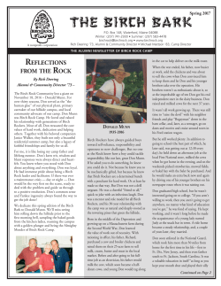 the birch bark - Birch Rock Camp