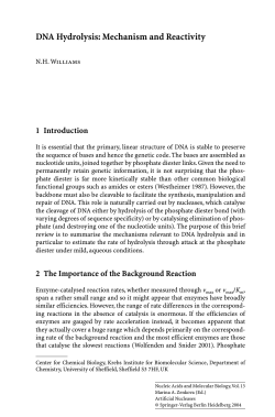 DNA Hydrolysis: Mechanism and Reactivity