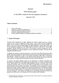 ERG working paper on SMP